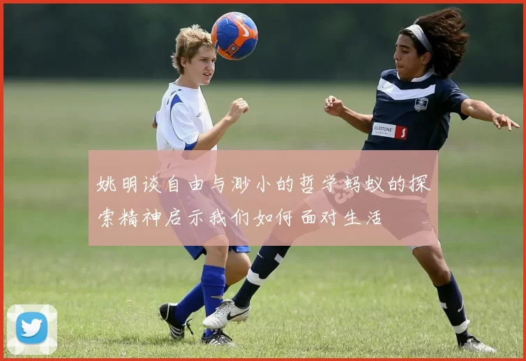姚明谈自由与渺小的哲学蚂蚁的探索精神启示我们如何面对生活