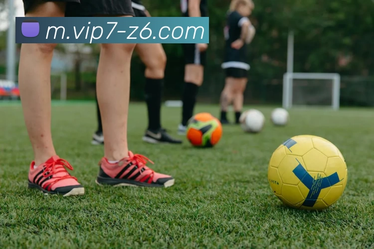 尊龙凯时发展历程